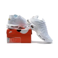 Nike Air Max Plus TN White 22