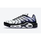 Nike Air Max Plus TN Persian Violet