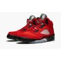 Nike Air Jordan 5 Raging Bull