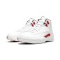 Nike Air Jordan 12 Twist