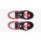 Nike SB Dunk Low Chicago