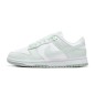 Nike SB Dunk Low Next Nature White Mint