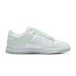 Nike SB Dunk Low Next Nature White Mint