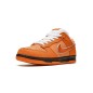Nike SB Dunk Low Orange Lobster