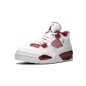 Nike Air Jordan 4 Alternate