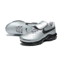 Nike Air Max Plus Tiempo Wolf Grey