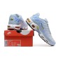 Nike Air Max Plus TN Body Fade