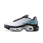 Nike Air Max Plus TN Mercurial Vapor