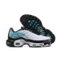 Nike Air Max Plus TN Mercurial Vapor