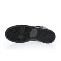 Shop Nike SB Dunk High Ballistic Uomo Donna | Top Quality | Streetwalk