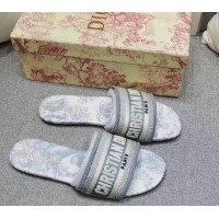 Dior Mule Dway Grey Stamped