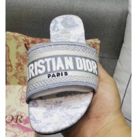 Dior Mule Dway Grey Stamped