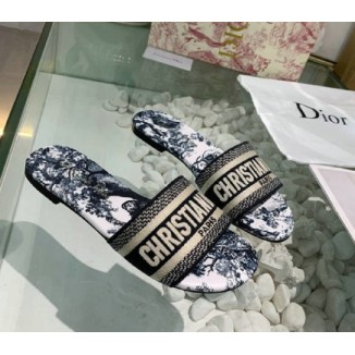 Dior Mule Dway Blue