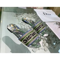 Dior Mule Dway Green Stamped