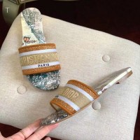 Dior Mule Dway Orange